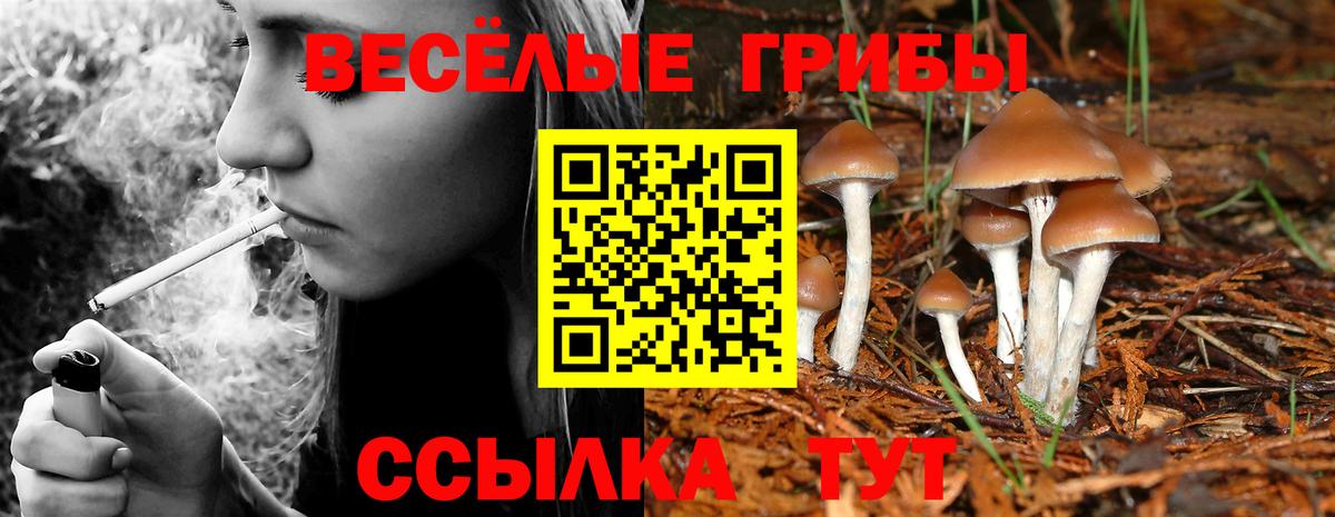 Галлюциногенные грибы GOLDEN TEACHER  Вход с VPN  Кулебаки  Галлюциногенные грибы мухоморы 